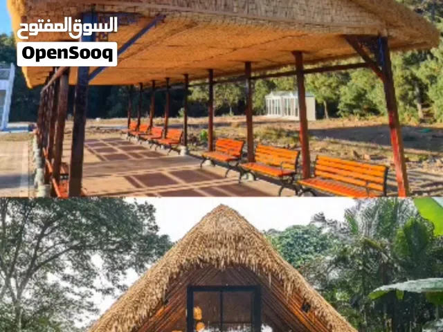 خشب البامبو والقش الصناعي من مسار العصر الحديث