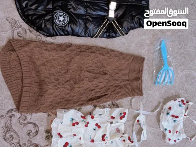 اغراض قطط للبيع