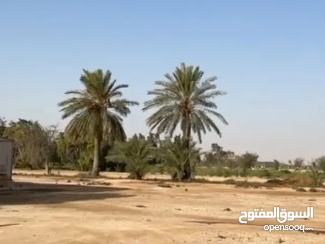 Mixed Use Land for Sale in Al Shamal Other