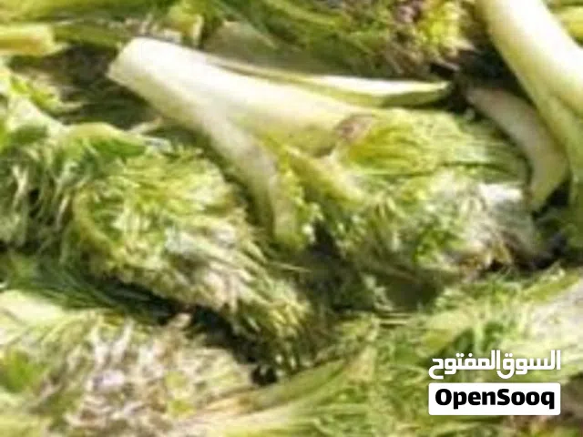 عكوب منظف و جاهز للبيع