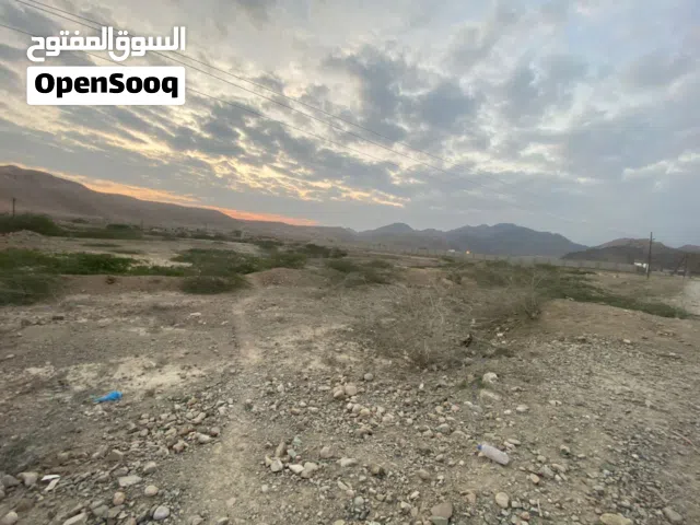 Farm Land for Sale in Hadhramaut Fuwwah