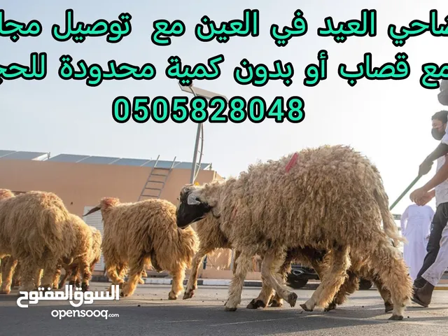#أضحيت العيد لحد بيتك توصيل مجاني مع قصاب وتقطيع على حسب الطلب بأسعار مناسبة للجميع #للحجز05058280