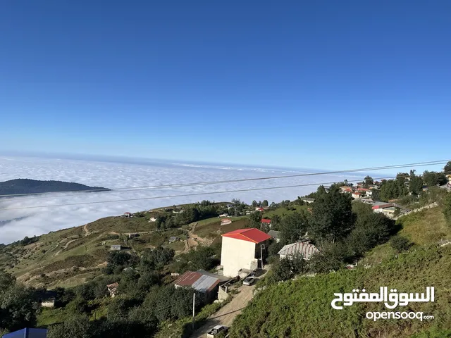 التجارة والسياحة والأطباء في جميع أنحاء إيران والقطار والطائرة والسيارة