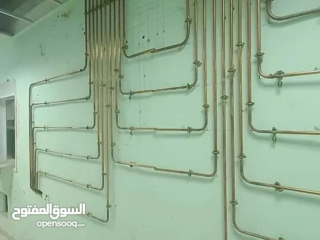 ترصيص الحي والغاز
