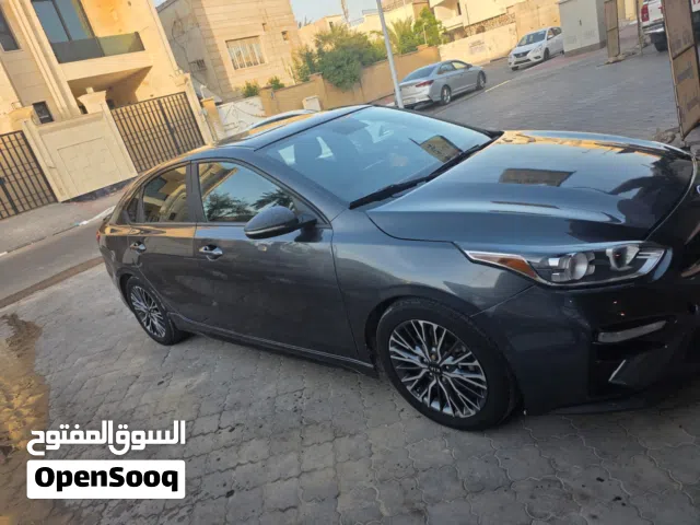 2019 هيونداي اخرى