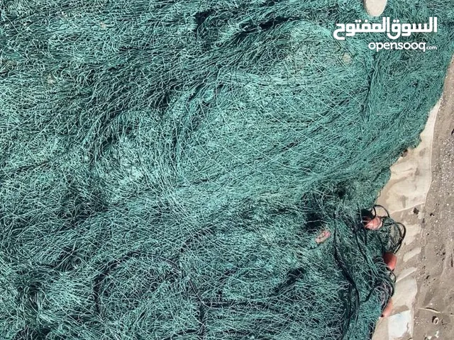 ثماني 6 قطع الرغب 12