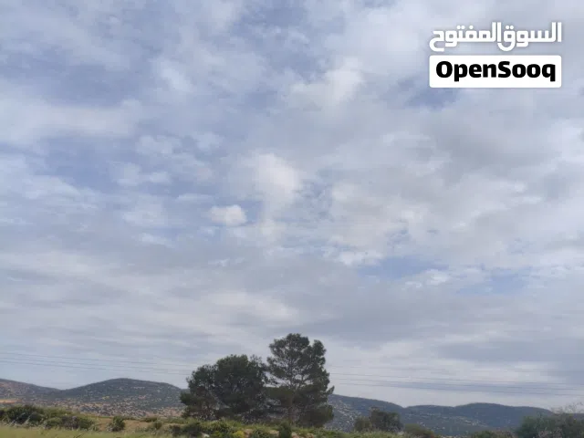 Mixed Use Land for Sale in Tocra Other