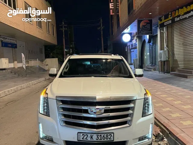 Used Cadillac Escalade in Baghdad
