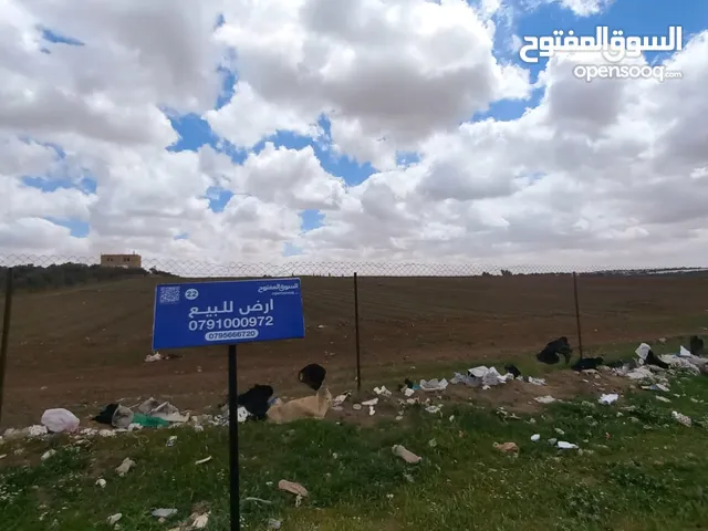 Land For Sale In Alkhadra'a ( Property 42366 )-174714075