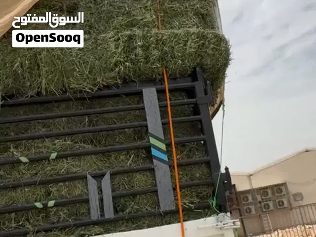 ساجر برسیم