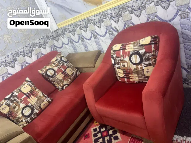 تخم تركي جديد كامل قطع قليل ستعمال استفترا اكثر خاص