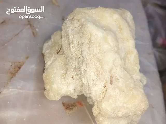 عنبر الحوت