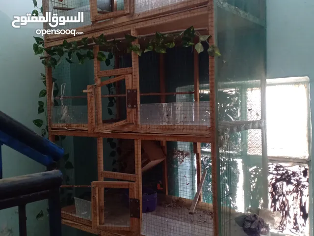 قفص مطير للعصافير والحمام