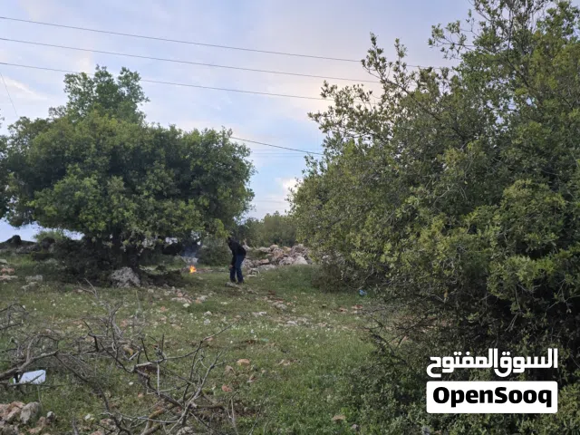 Mixed Use Land for Sale in Ajloun E'in Jana