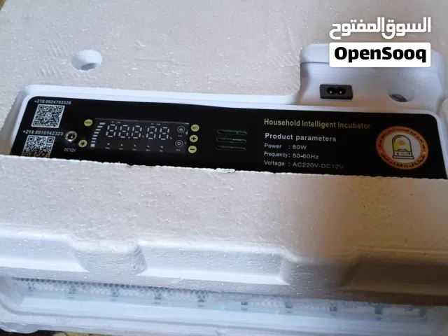 حضانة صينية موديل 2026