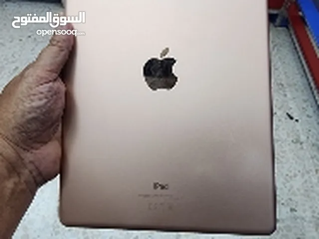 ipad 7 with cellular and wifi