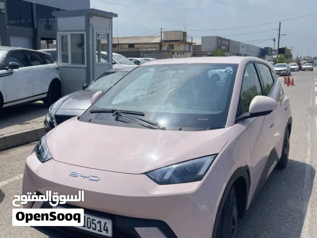 2024 بي واي دي سيجول