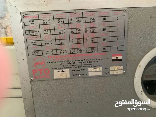 فقاسة جاج مصريه