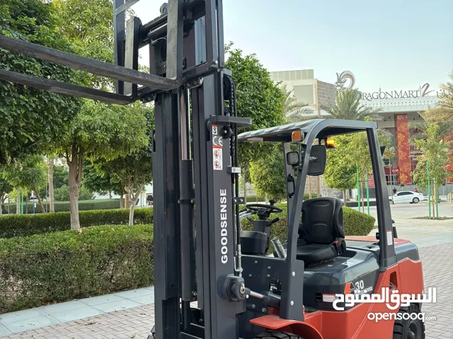 Brand New 0km 2025 Model GOODSENSE Forklift