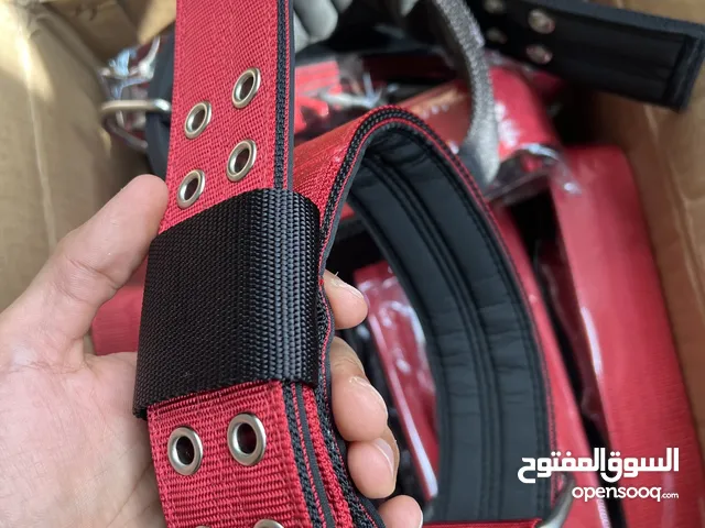 Dog collar / طوق كلاب