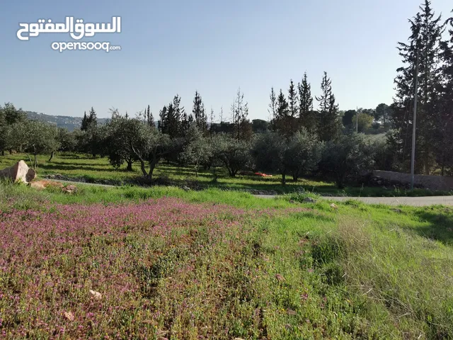 Mixed Use Land for Sale in Salt Al Subeihi
