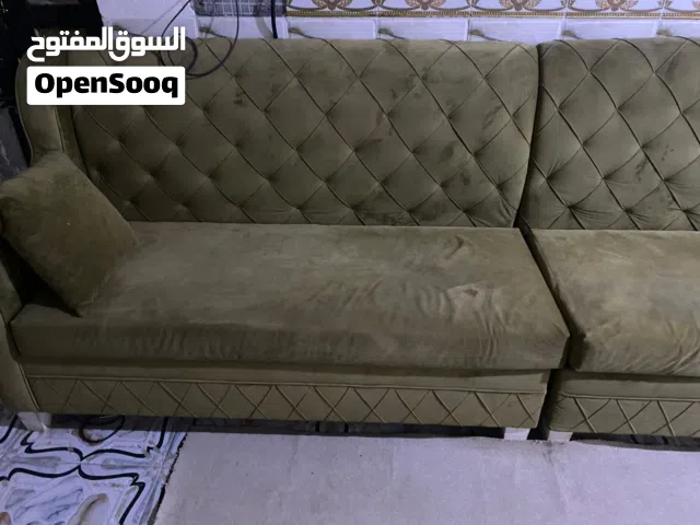 تخم ديوان كويتي للبيع بسعر مناسب البصرة
