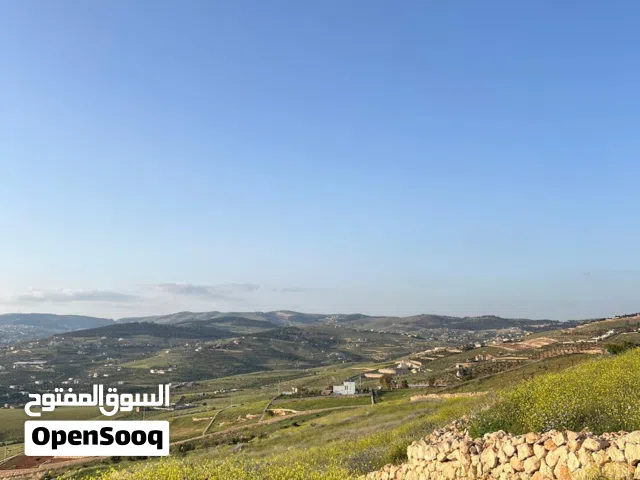 ارض للبيع في جرش_ 2 دونم _ عنيبه_حوض الحميدي_مستصلحه مستويه