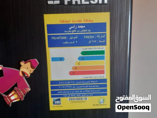 ديب فريزر فريش