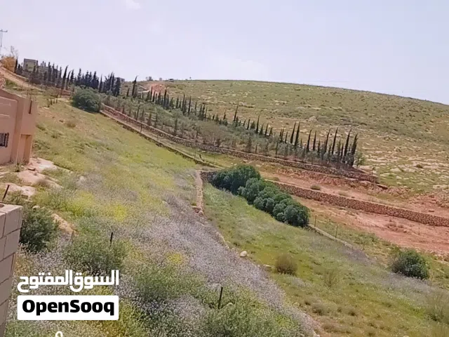 Farm Land for Sale in Zarqa Sarout