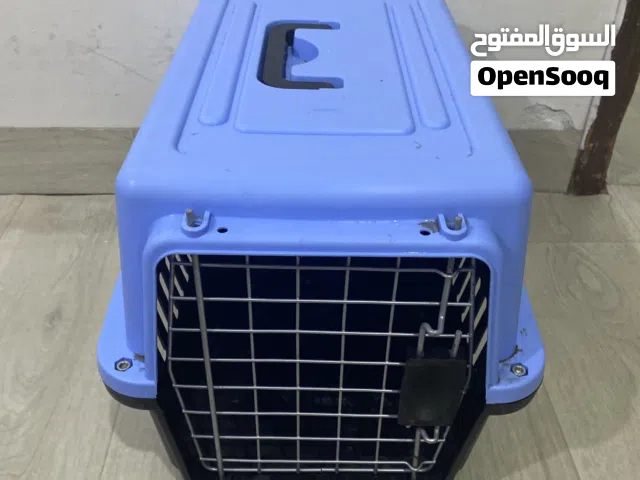 مستلزمات القطه