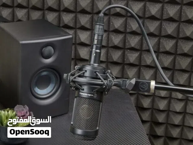 Audio-Technica AT2035 Cardioid Condenser Microphone with Custom Shock Mount
