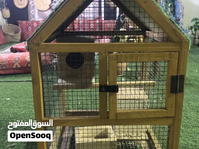 قفص حجم متوسط