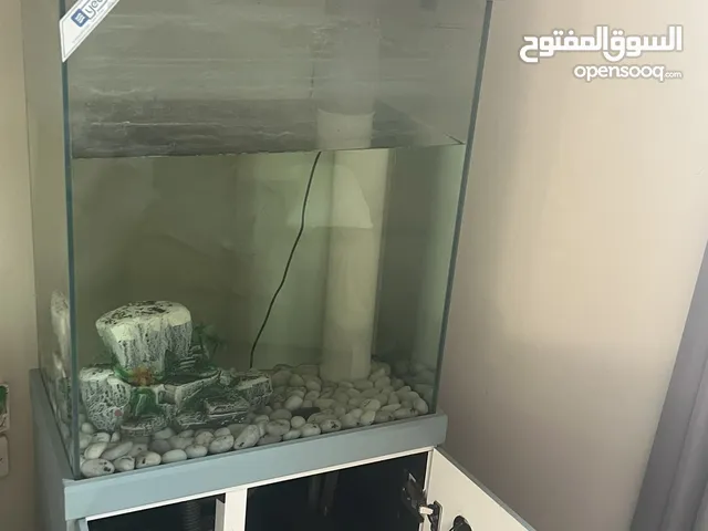 حوض اسماك كبير مع الفلتر