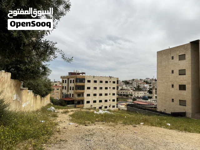 Residential Land for Sale in Amman Shafa Badran