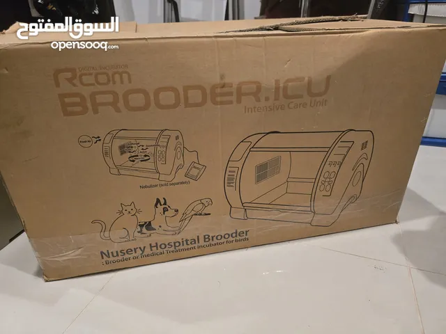 حضانة حيوانات