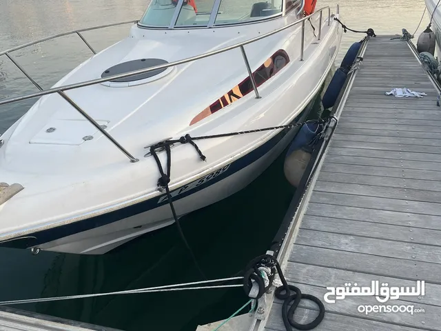 Silver craft 26ft