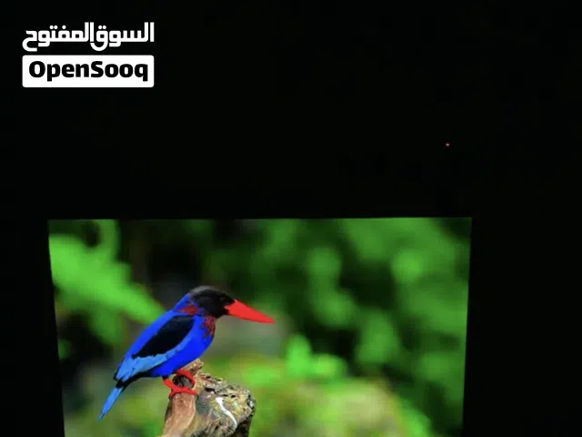 شاشه LG-OLED اصدار B9 حجم 55بوصه