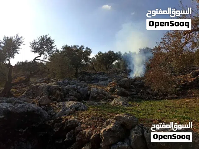 Residential Land for Sale in Salfit Pedaya