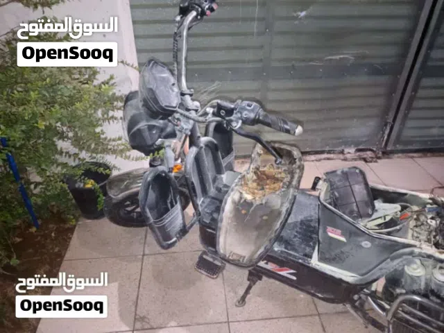 دراجة شحن هارلي 2024