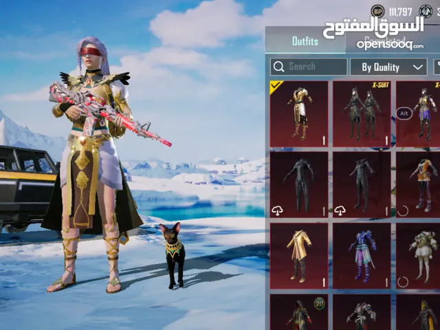 Pubg Accounts and Characters for Sale in Assiut