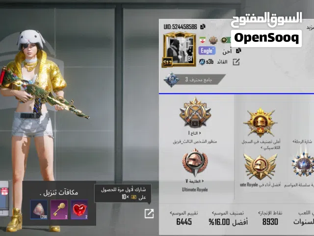 Pubg Accounts and Characters for Sale in Basra