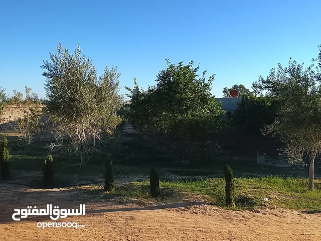 250 m2 4 Bedrooms Townhouse for Sale in Sabratha Other