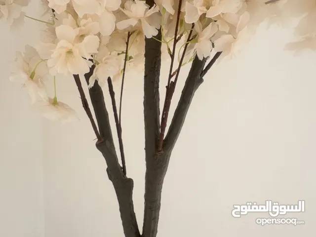 شجرة اوف وايت جديدة مائلة بشكل كبير الي الطبيعة
