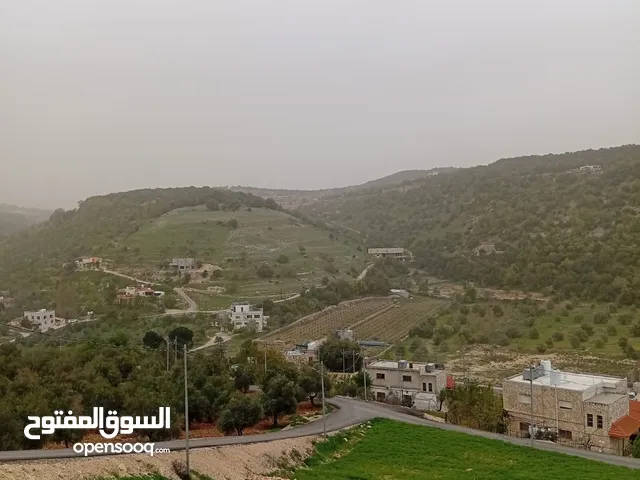 Residential Land for Rent in Ajloun Other