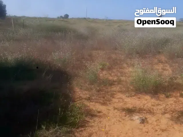 Farm Land for Sale in Sirte Al-Amera