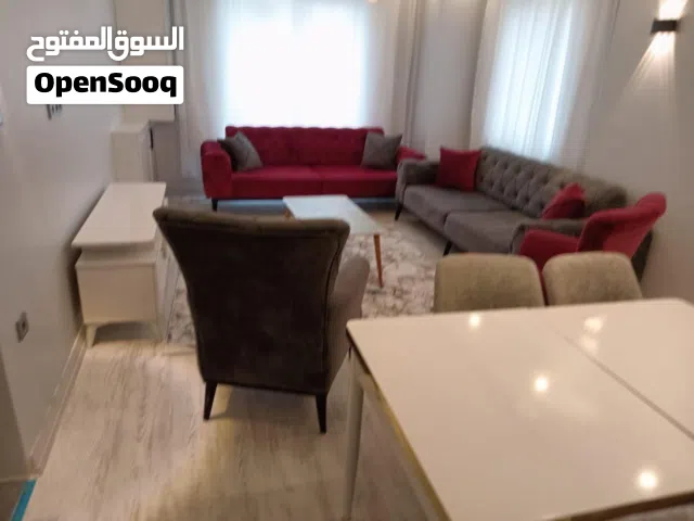 69 m2 1 Bedroom Apartments for Sale in Istanbul Esenyurt