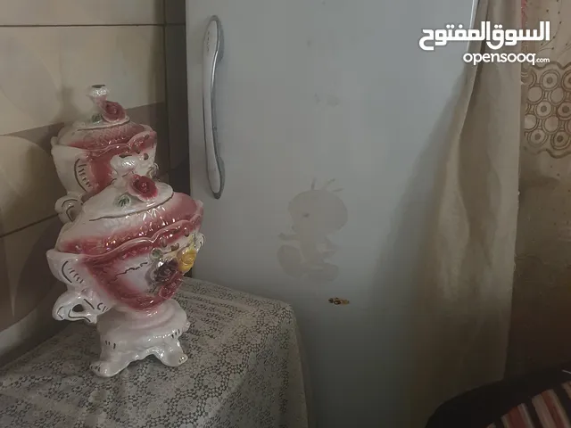 Alhafidh Freezers in Damascus