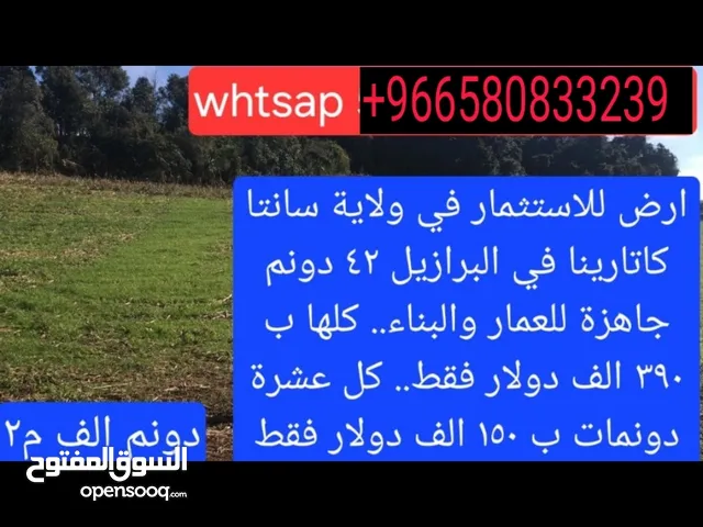 ارض للاستثمار في ولايه سانتا كاترينا في البرازيل جاهزه للبناء والعمار