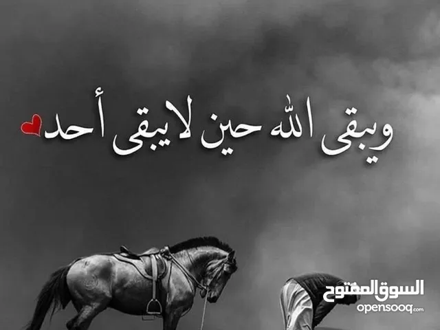 ابو عبد الله