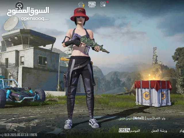Pubg Accounts and Characters for Sale in Irbid